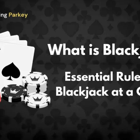 Blackjack Rules at a Casino ♣️ Mastering the Game