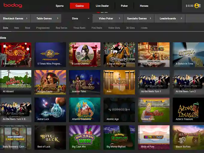 Bodog Casino